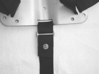 Harness